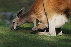 IMG 9854