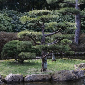 Japanischer Garten Duesseldorf